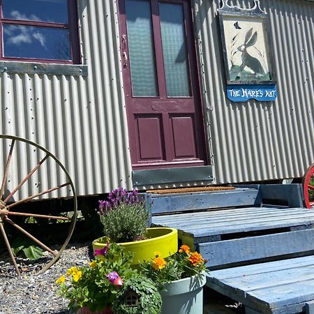 The Hares Hut At Carrigeen Glamping Kilkenny Exterior foto